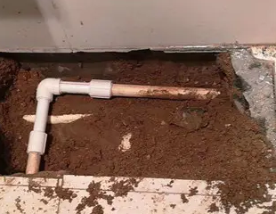 漳州市测漏水哪家好