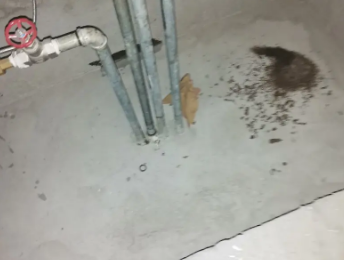 漳州市卫生间测漏水价格明细