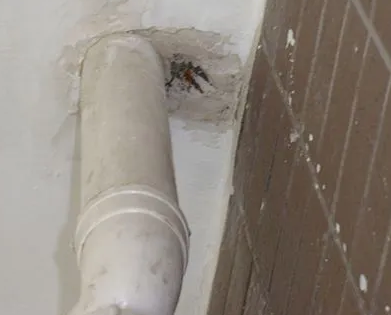 漳州市漏水检测哪家好